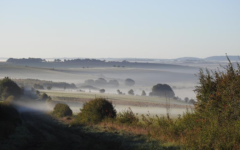 Misty view