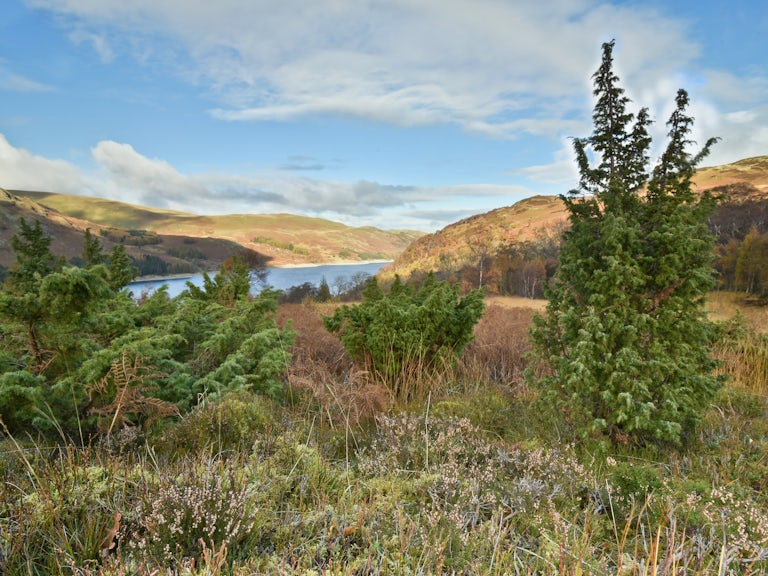 crubby Haweswater Scene