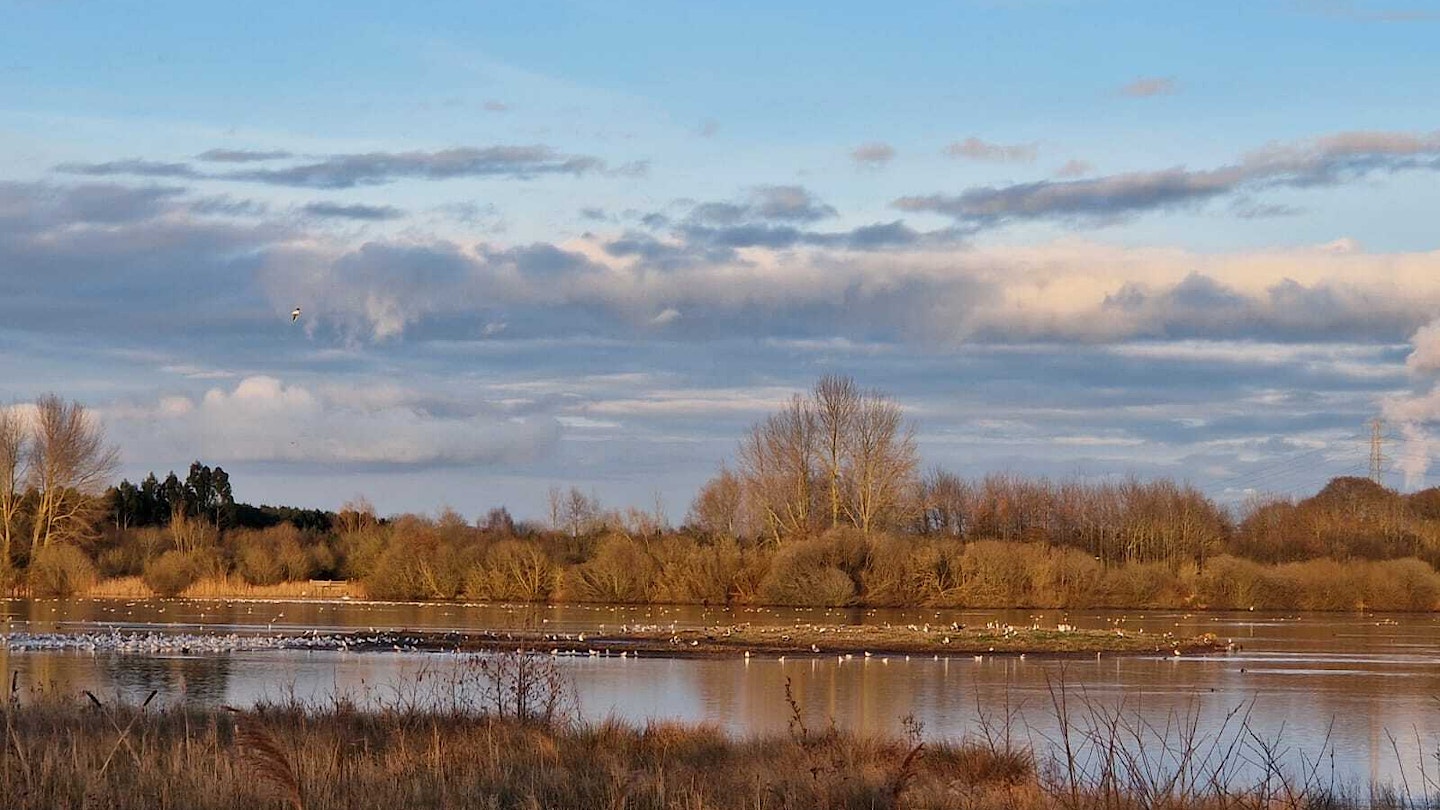 Wild Idle Valley wetland