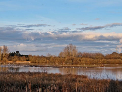 Wild Idle Valley wetland