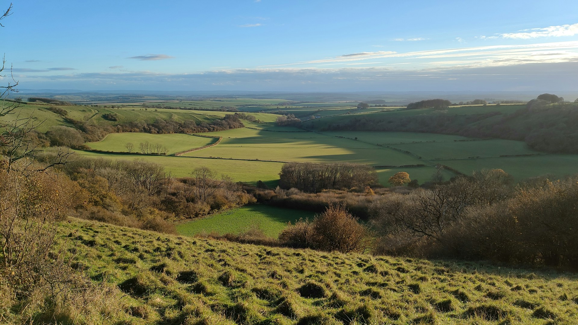 Lyscombe
