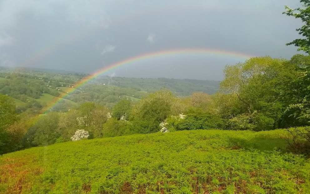 Rainbow over field