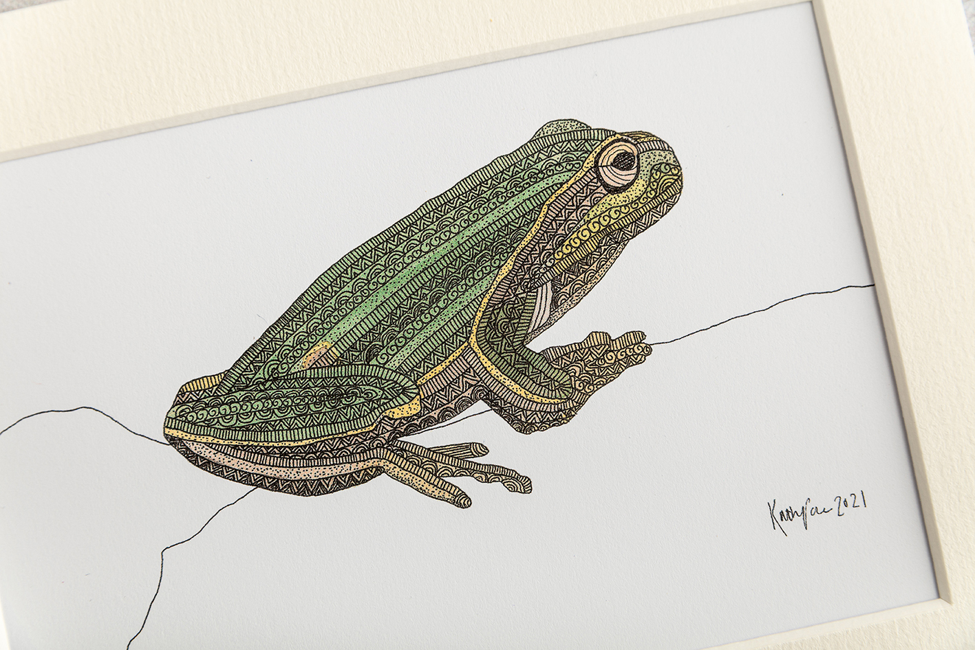 Drawing of a frog by Katherine Jones