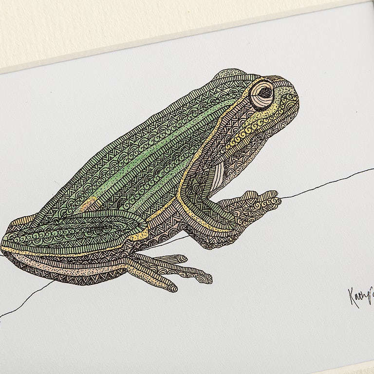 Katherine Jones Rewilding Britain Frog Detail