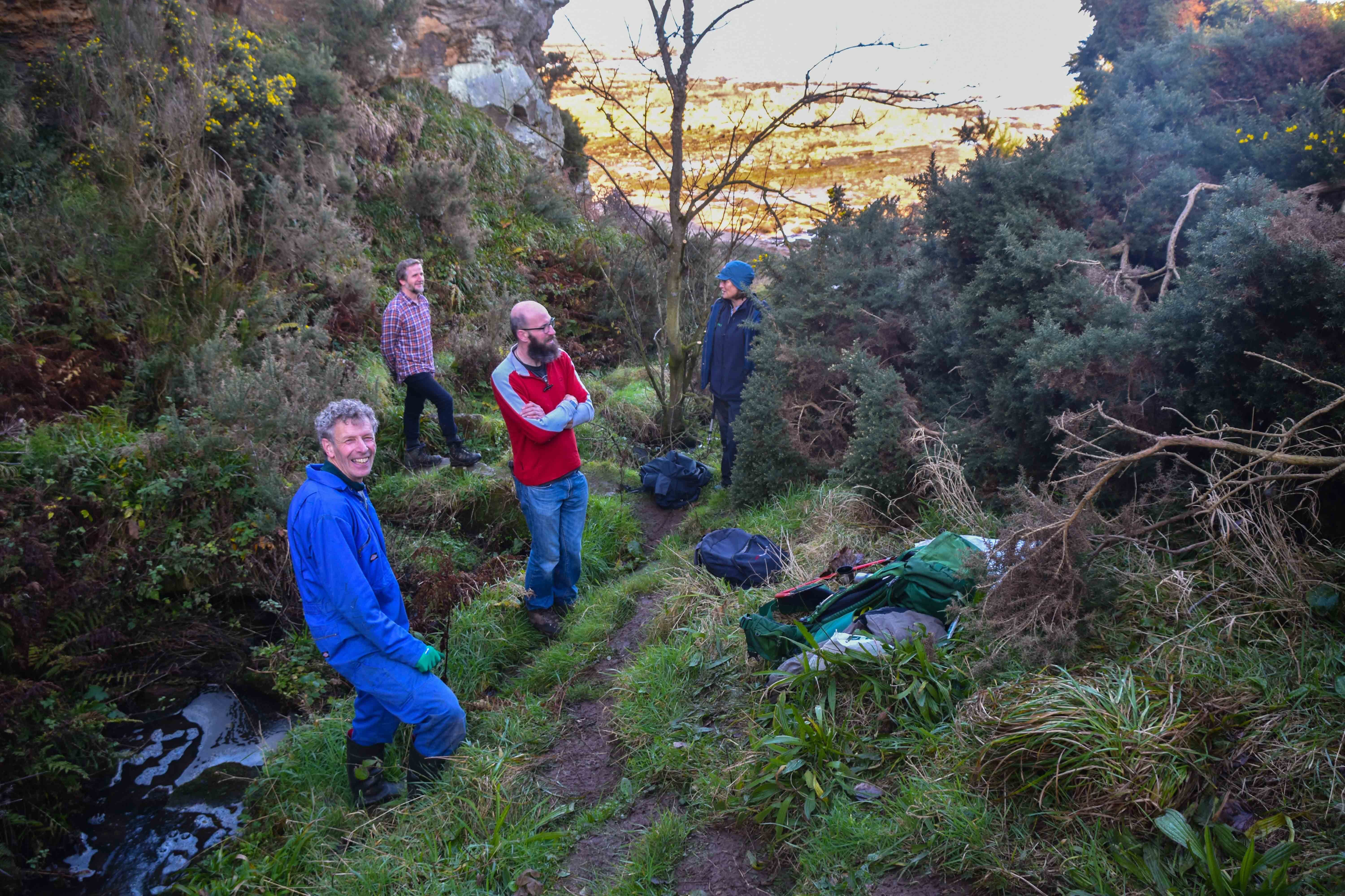 Kinkell gorse clearing day on sea braes for cattle access