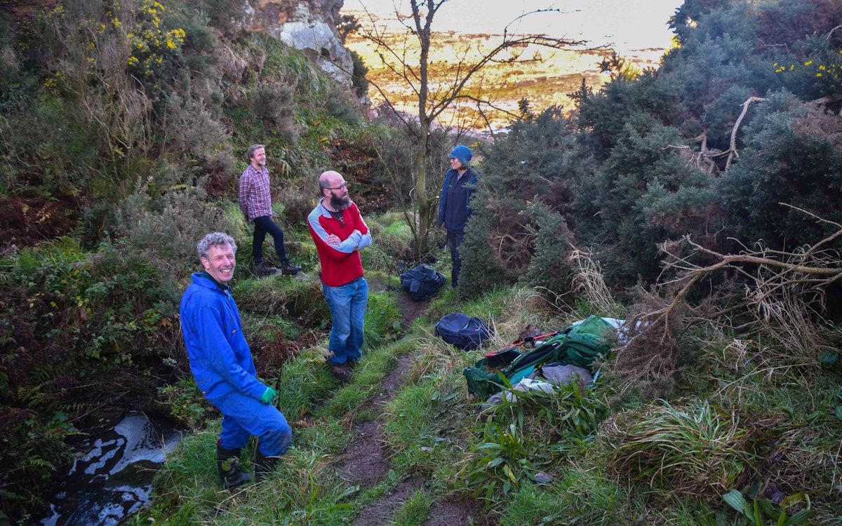 Kinkell gorse clearing day on sea braes for cattle access