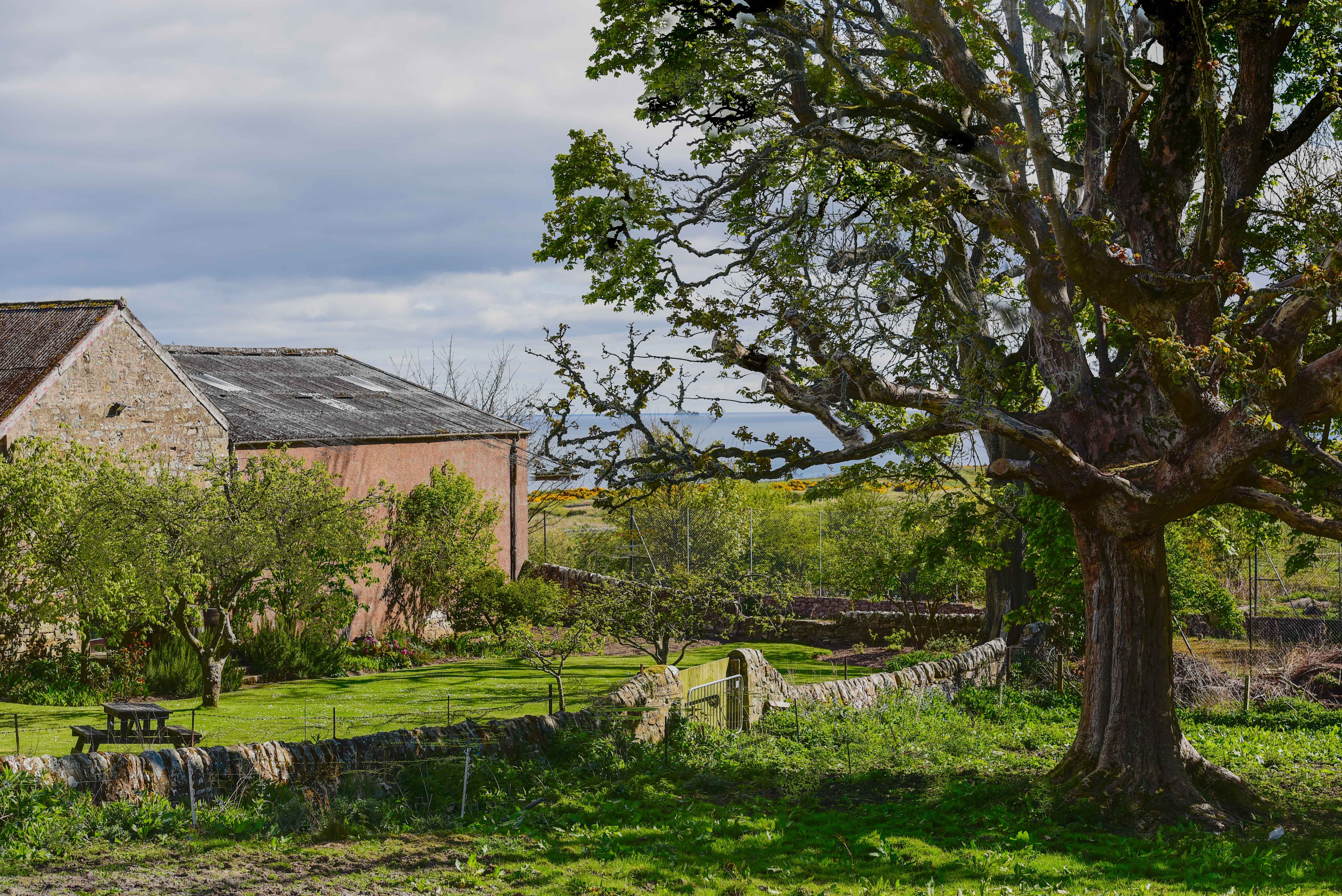 Kinkell rewilding around the Byre