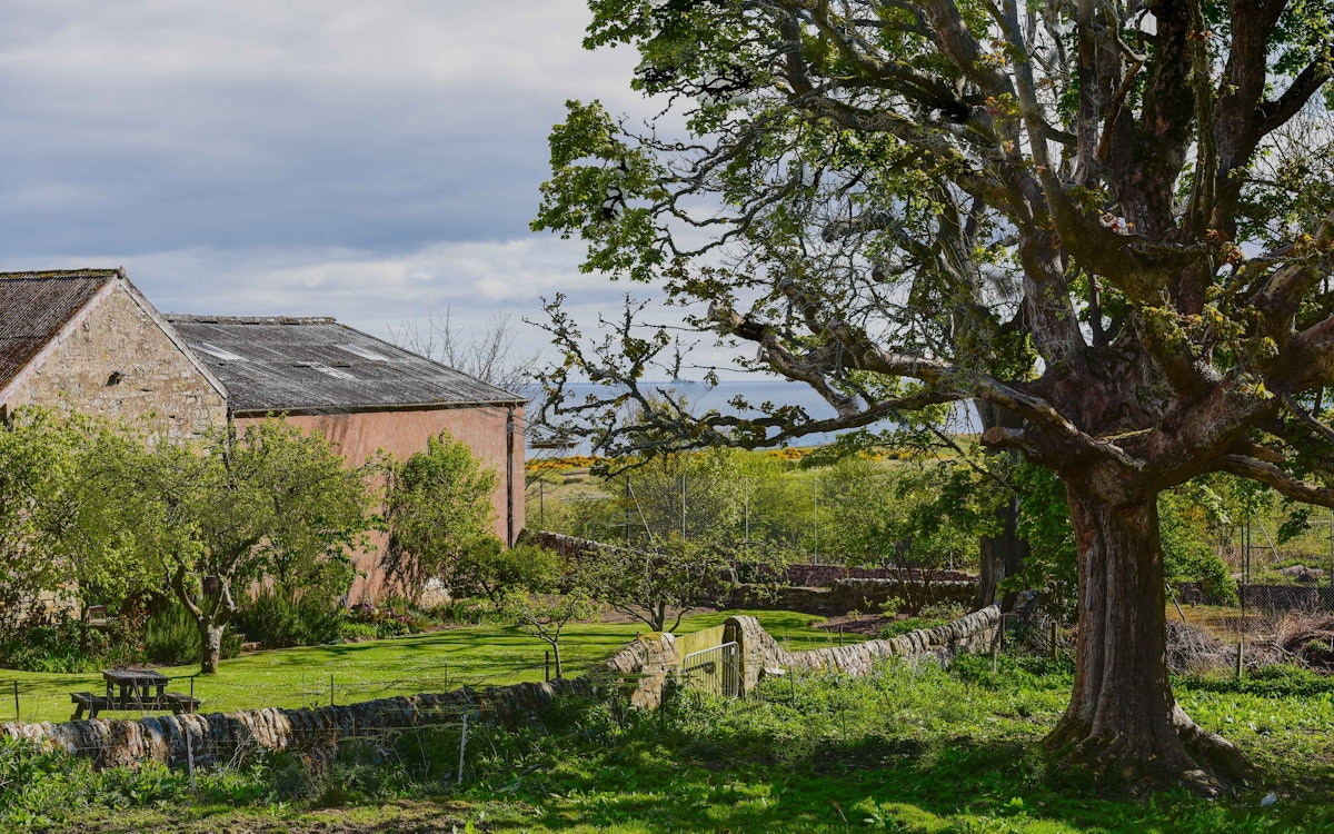 Kinkell rewilding around the Byre