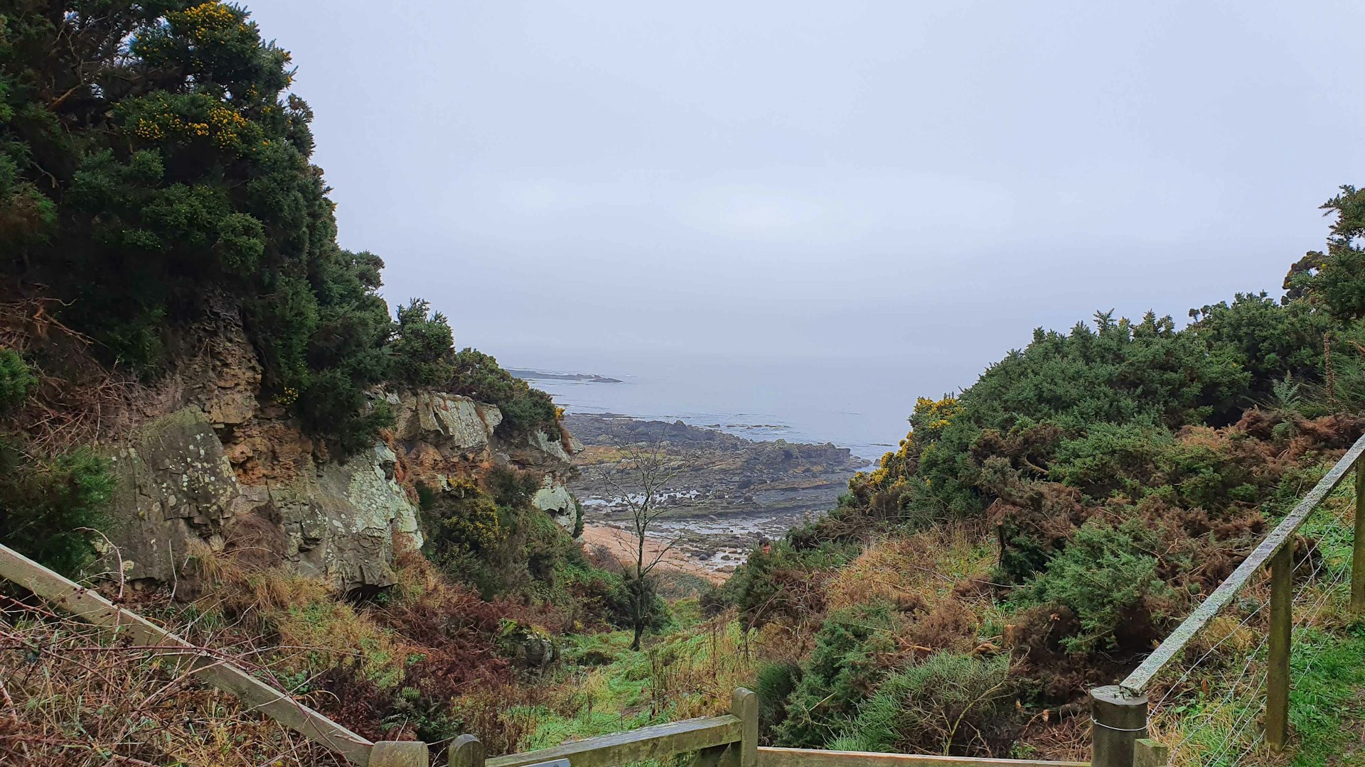 Coastal landscape behind fence, Rewilding Kinkell