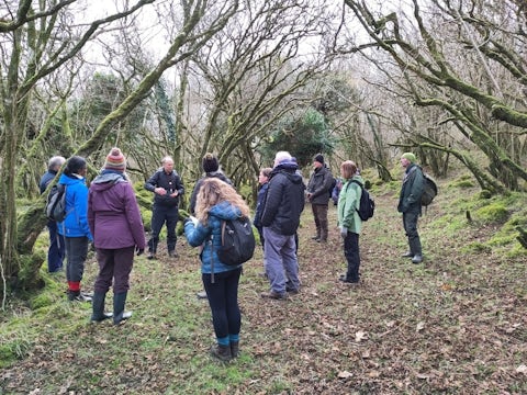 A group of people in Ardura forest in Argyll