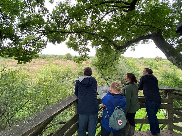 Looking at the views at Knepp