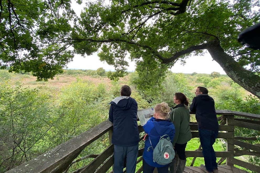 Looking at the views at Knepp