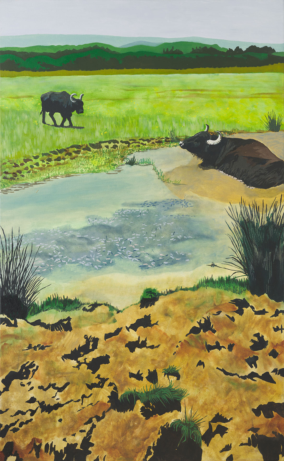 Painting of water buffalo in a pond at Rewilding Coombshead by Rebecca Howard