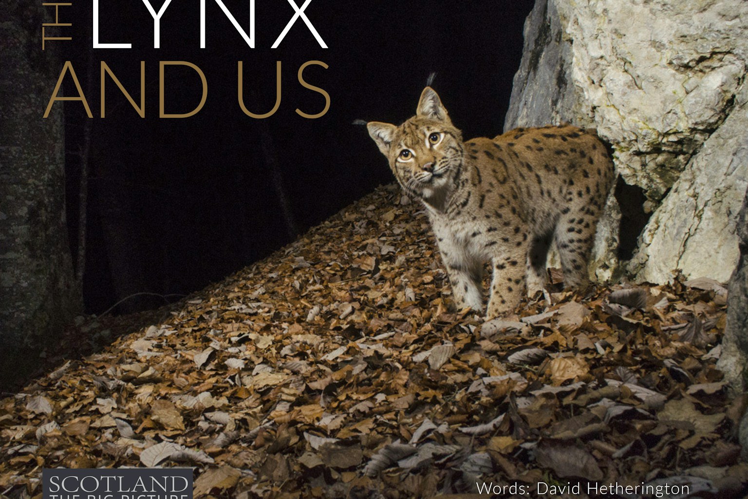 The Lynx and Us book cover