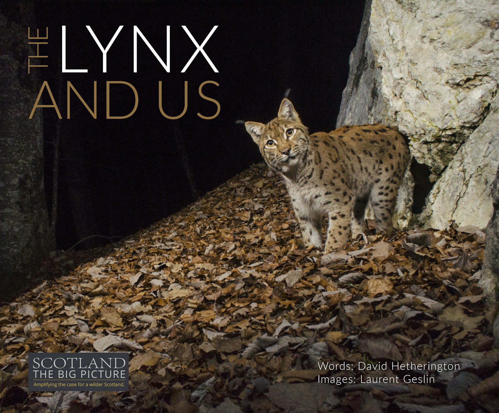 The Lynx and Us book cover