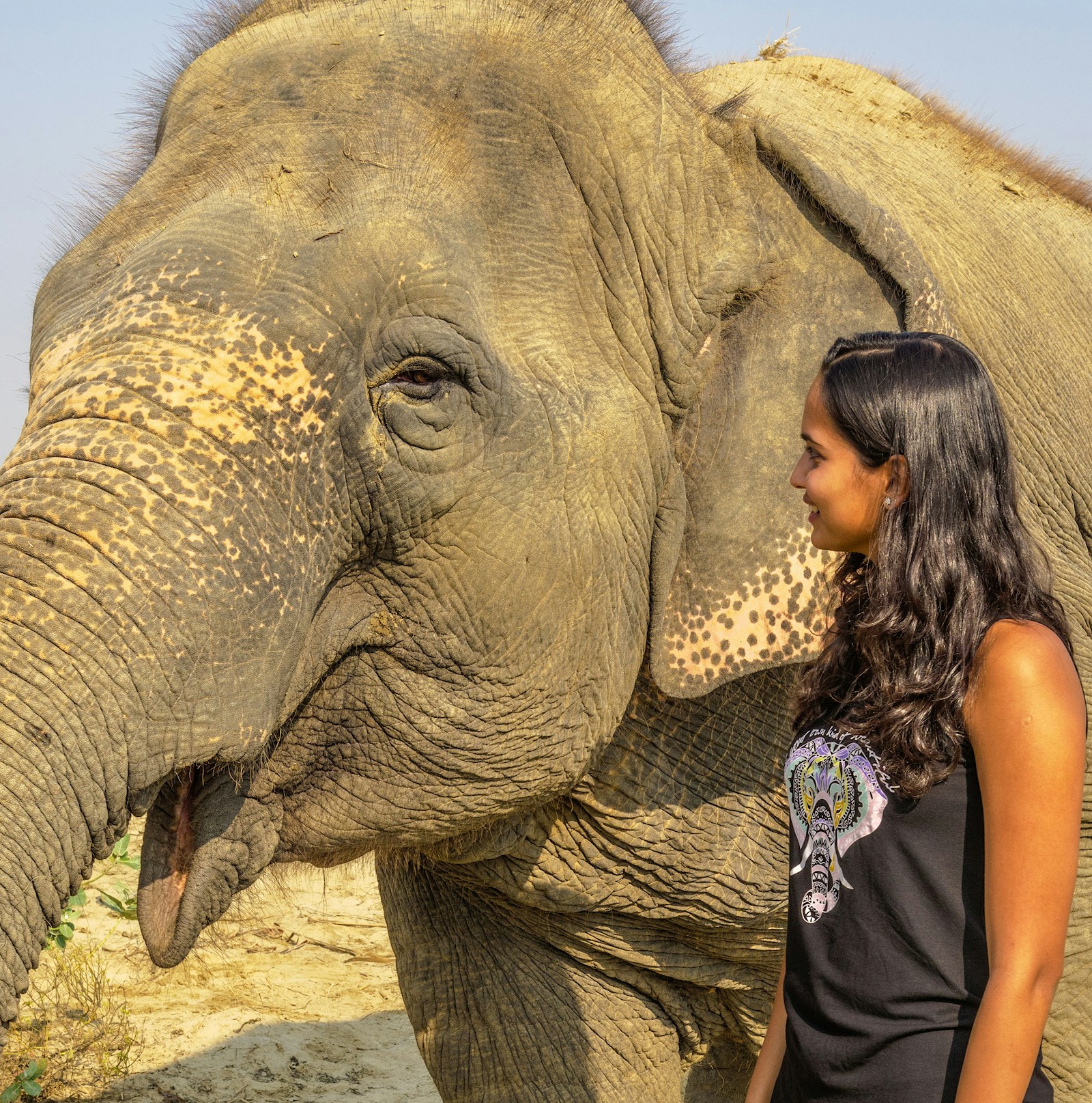 Malaika Vaz elephant