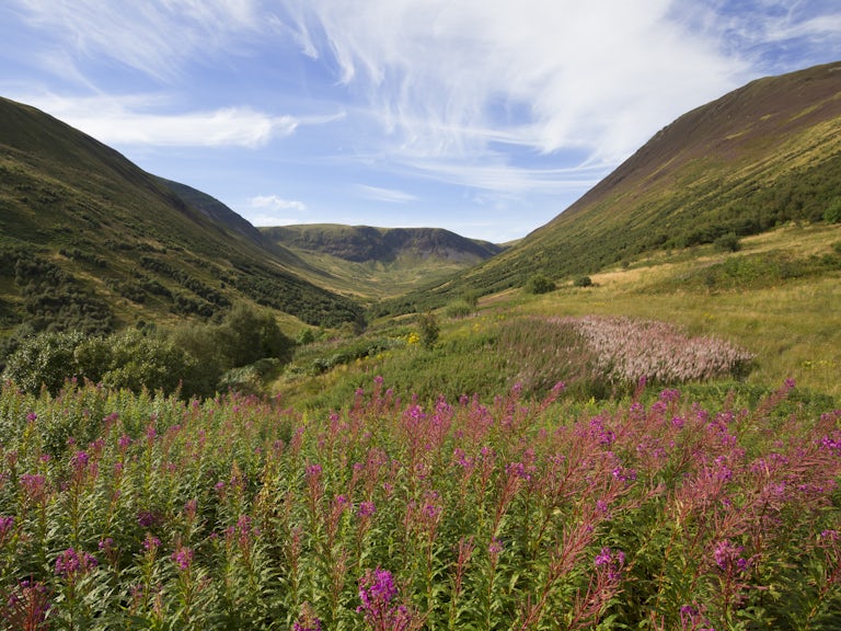 Carrifran Valley in the Scottish Borders, site of major woodland restoration project, Scotland