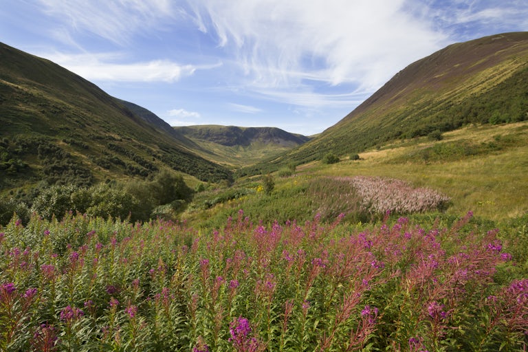 Carrifran Valley in the Scottish Borders, site of major woodland restoration project, Scotland