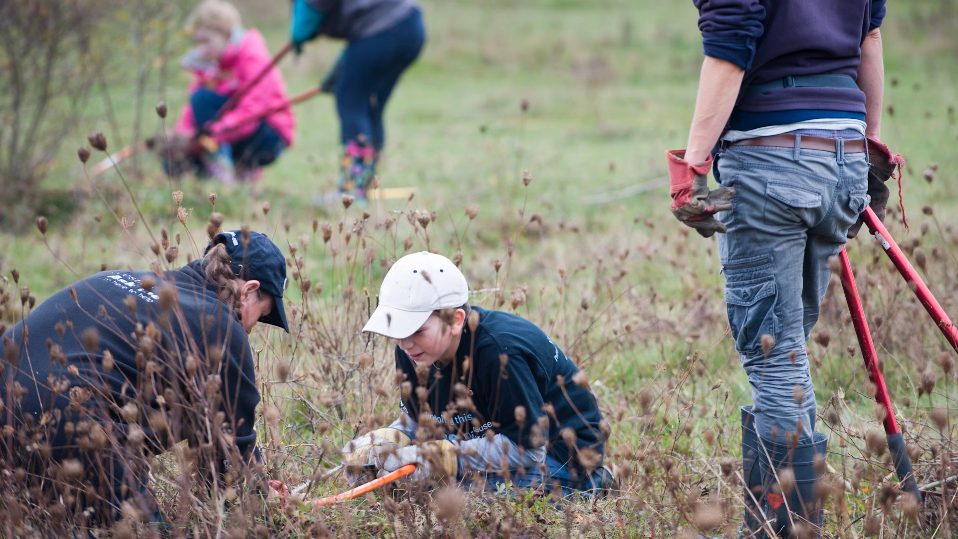 Young volunteers clearing scrub at the RSPB Vange Marsh near Basildon, Essex
