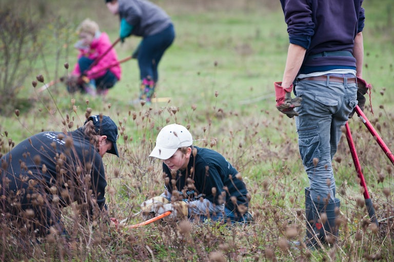 Warden Day; Young volunteers clearing scrub at the RSPB Vange Marsh near Basildon, Essex