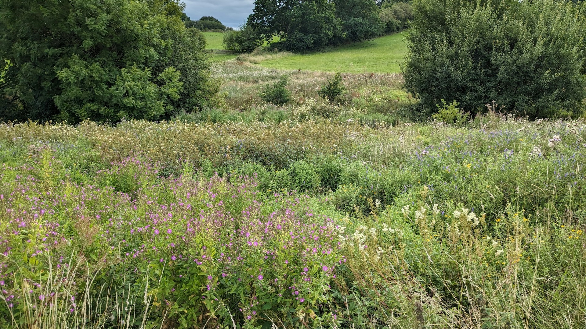 Grange project grasslands