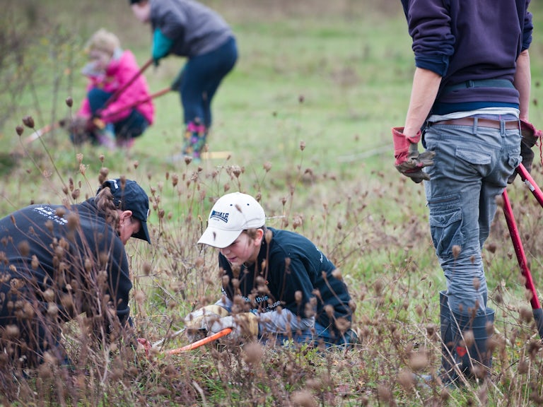 Volunteers surveying the land