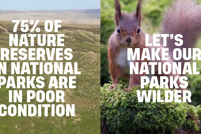 Rewilding Britain wilder national parks