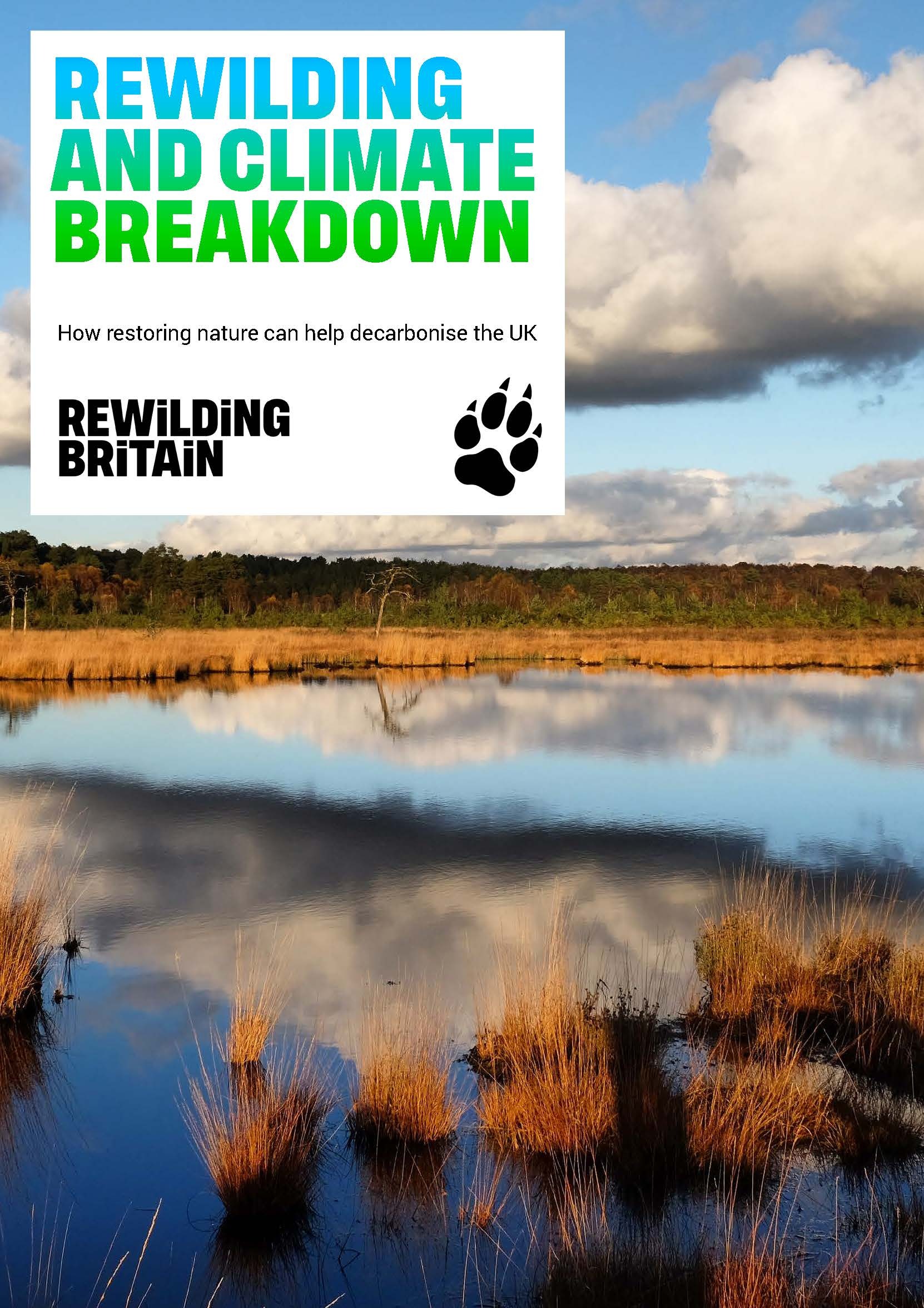 Rewilding And Climate Breakdown | Rewilding Britain