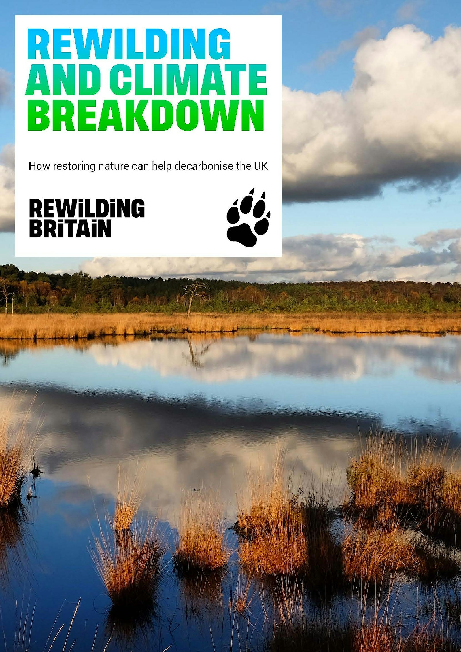 Rewilding Britain's Rewilding and Climate Breakdown report cover