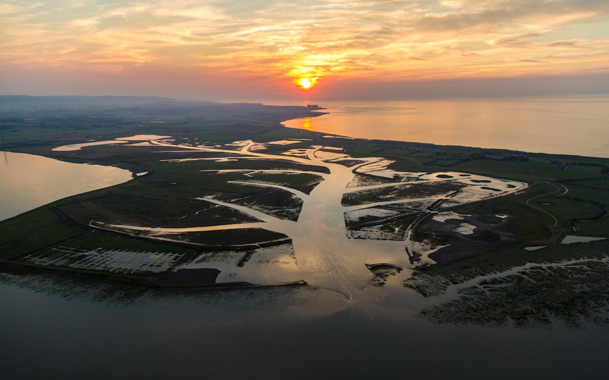 Aerial shot of wetlands at sunset