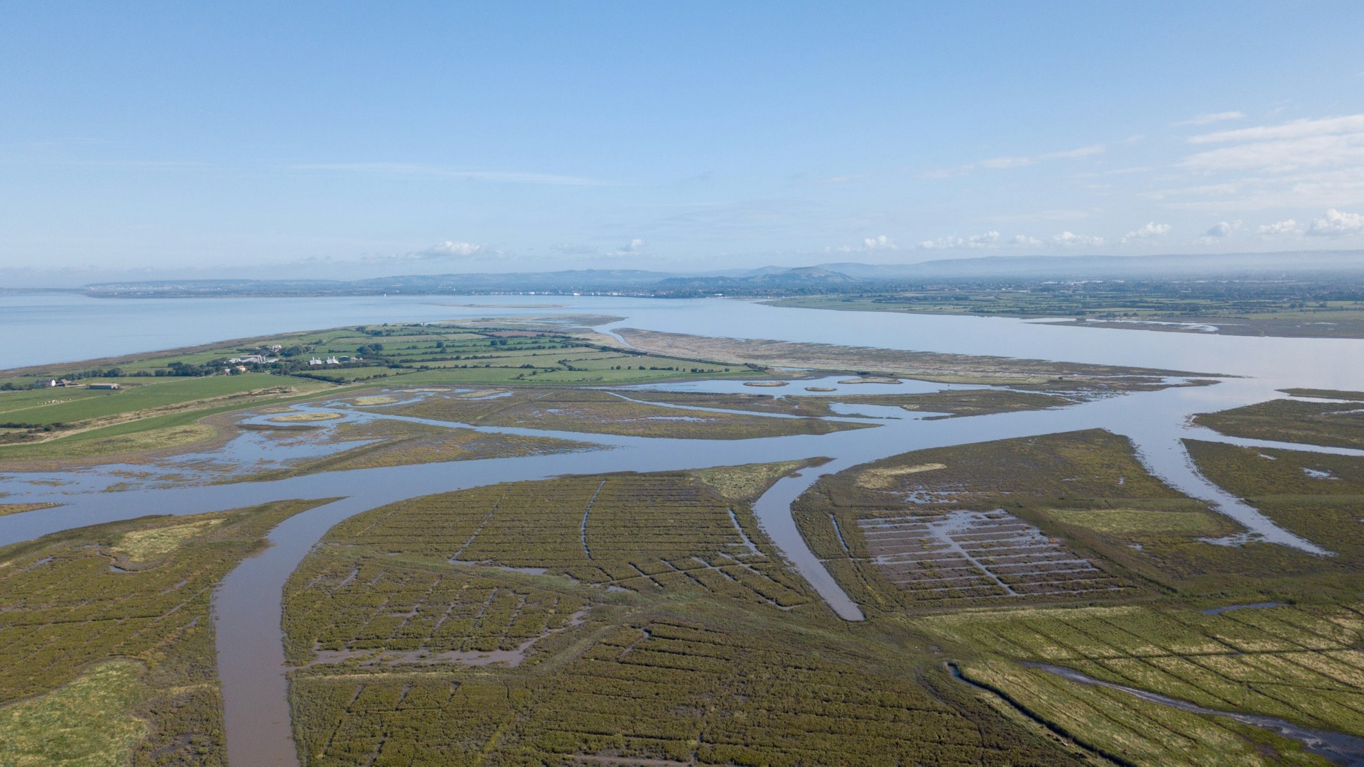 Aerial shot of wetlands