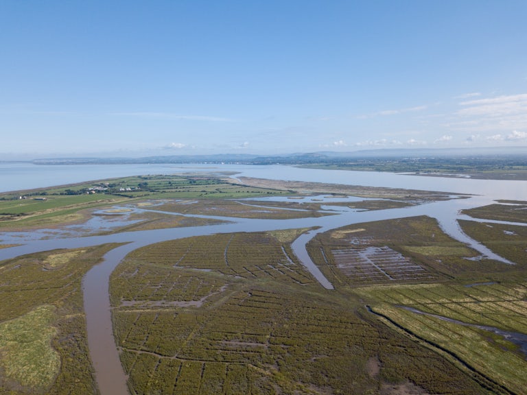 Aerial shot of wetlands