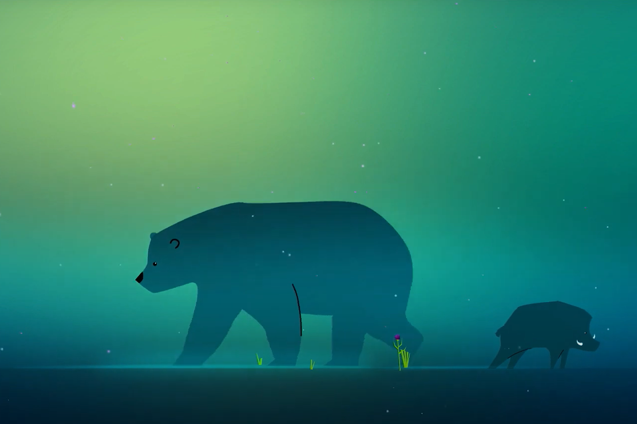 Rewild Nation bear