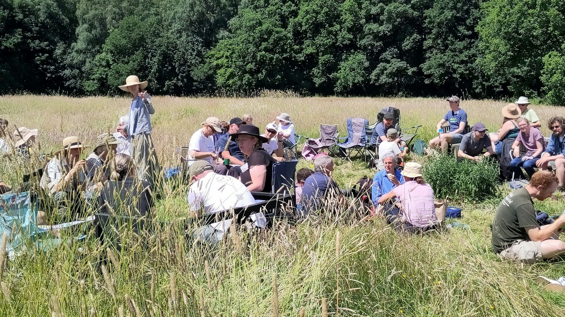 People sitting in a meadow at Rewilders Day Festival, a Yorkshire Rewilding's network event