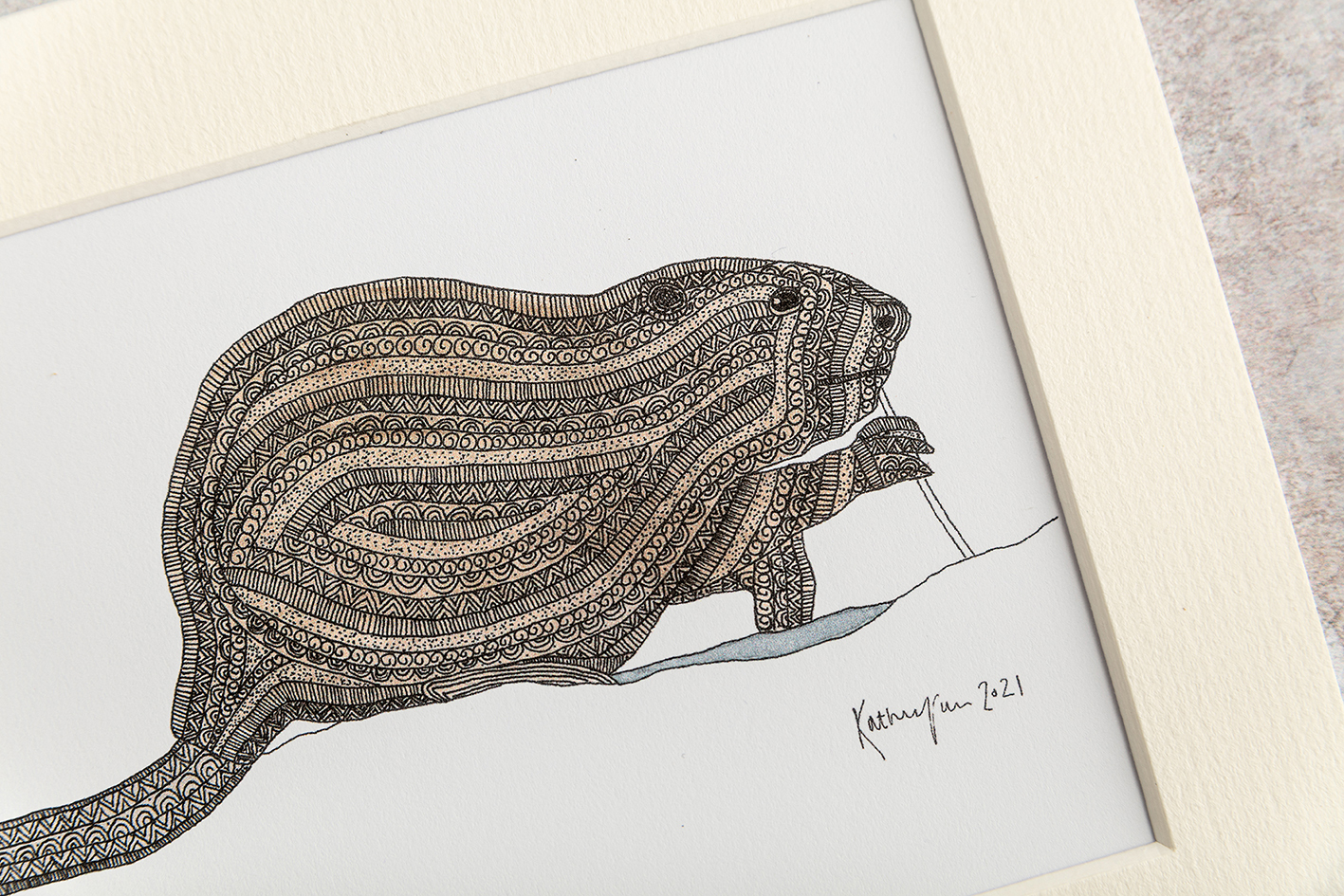 Beaver illustration detail