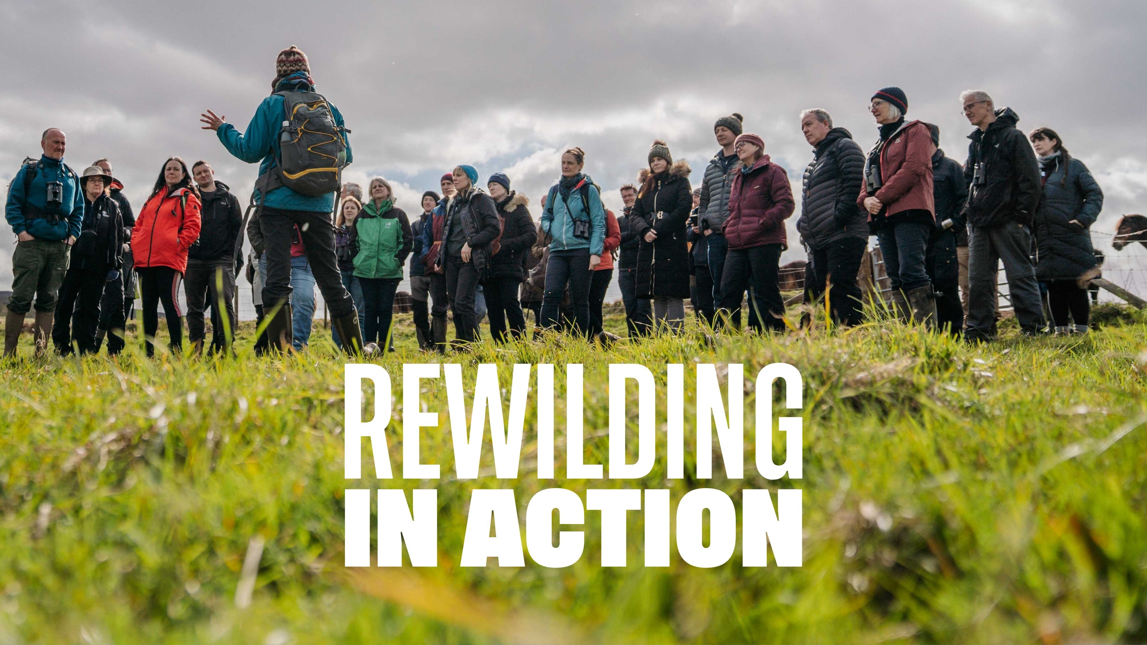 Rewilding in action: the power of the Rewilding Network