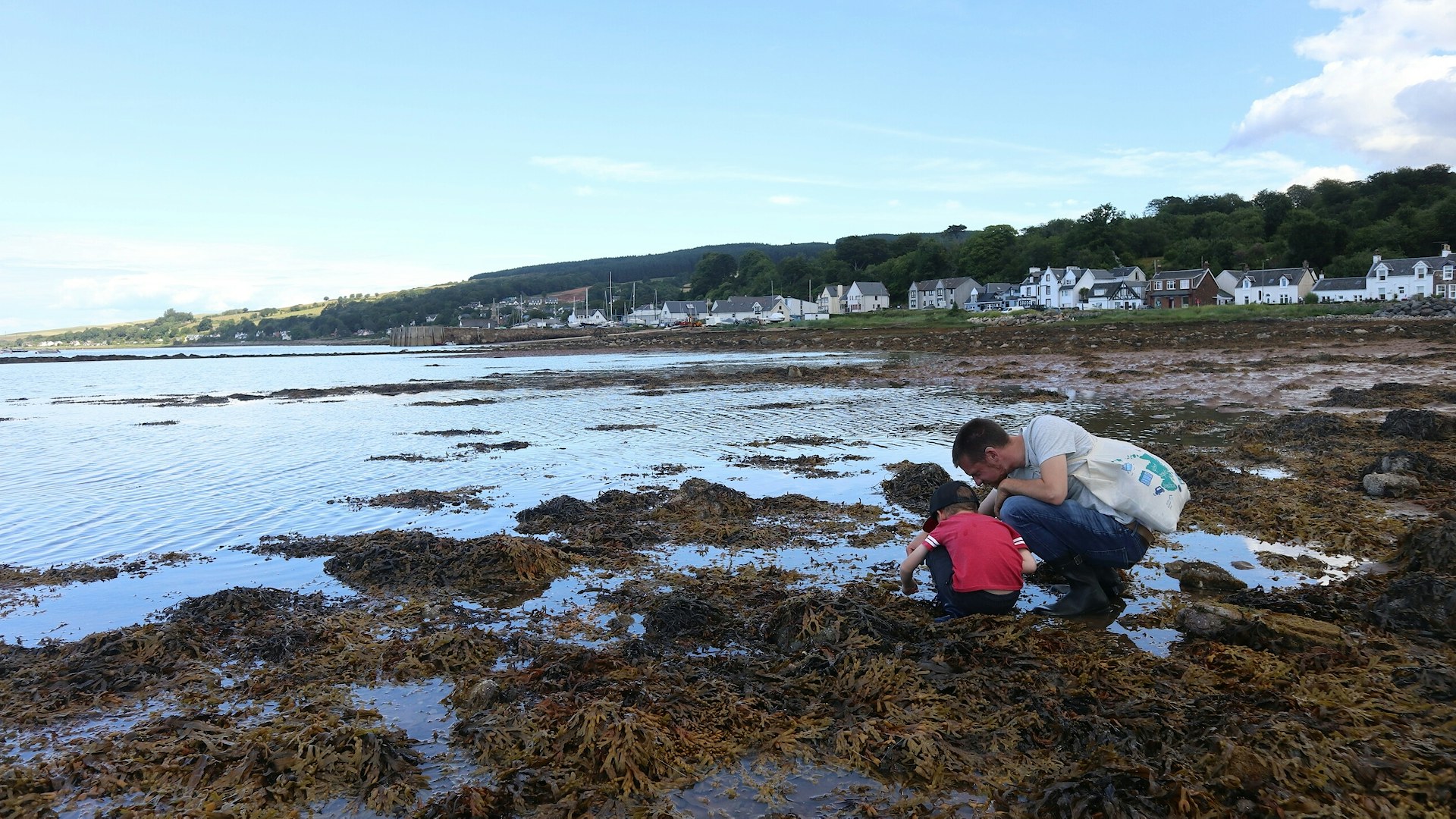 Rockpooling near coast at Isle of Arran