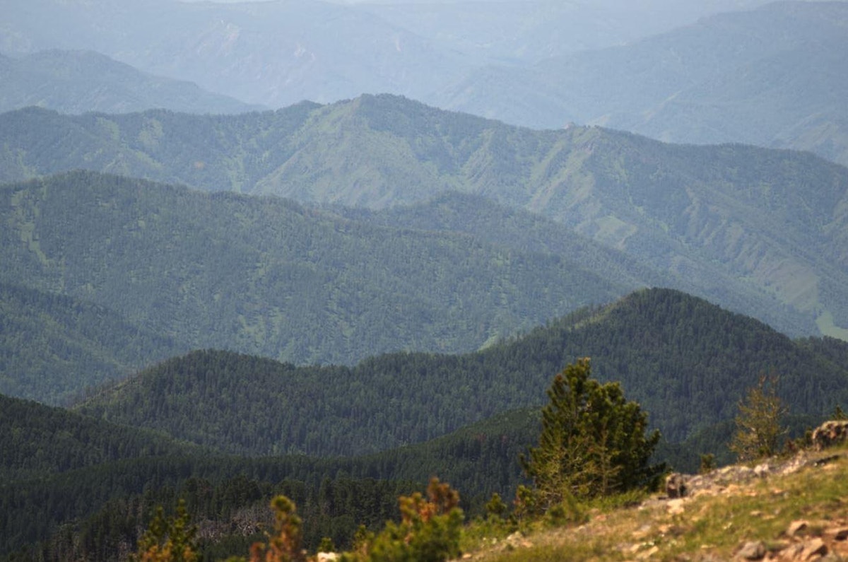 Russia forested landscape