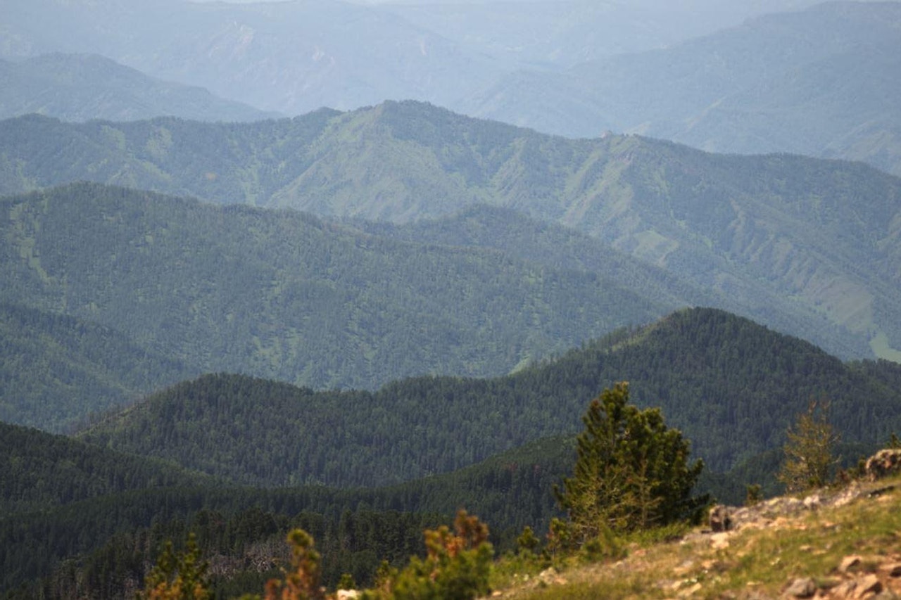 Russia forested landscape