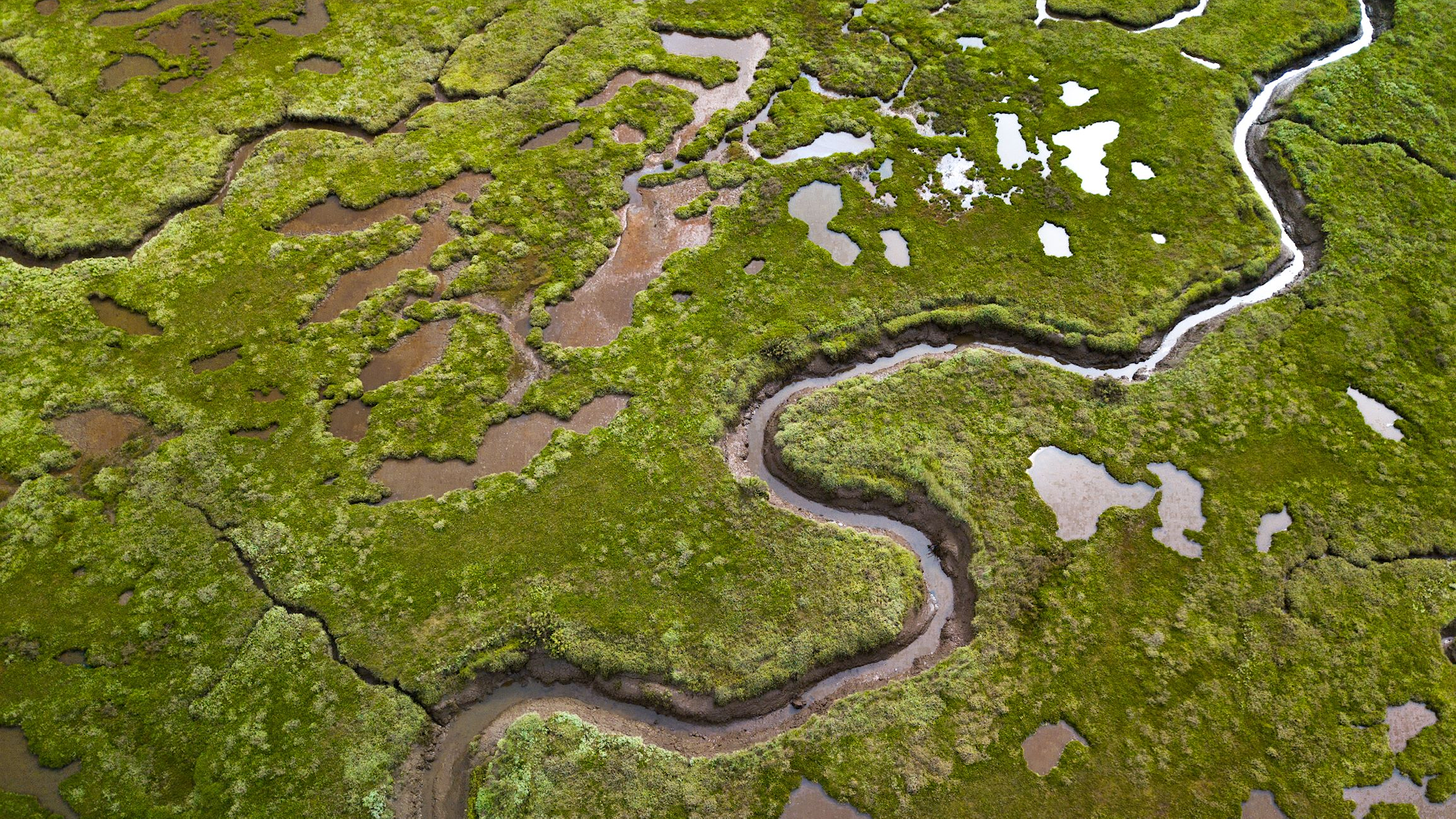 Stiffkey Salt Marshes, Norfolk