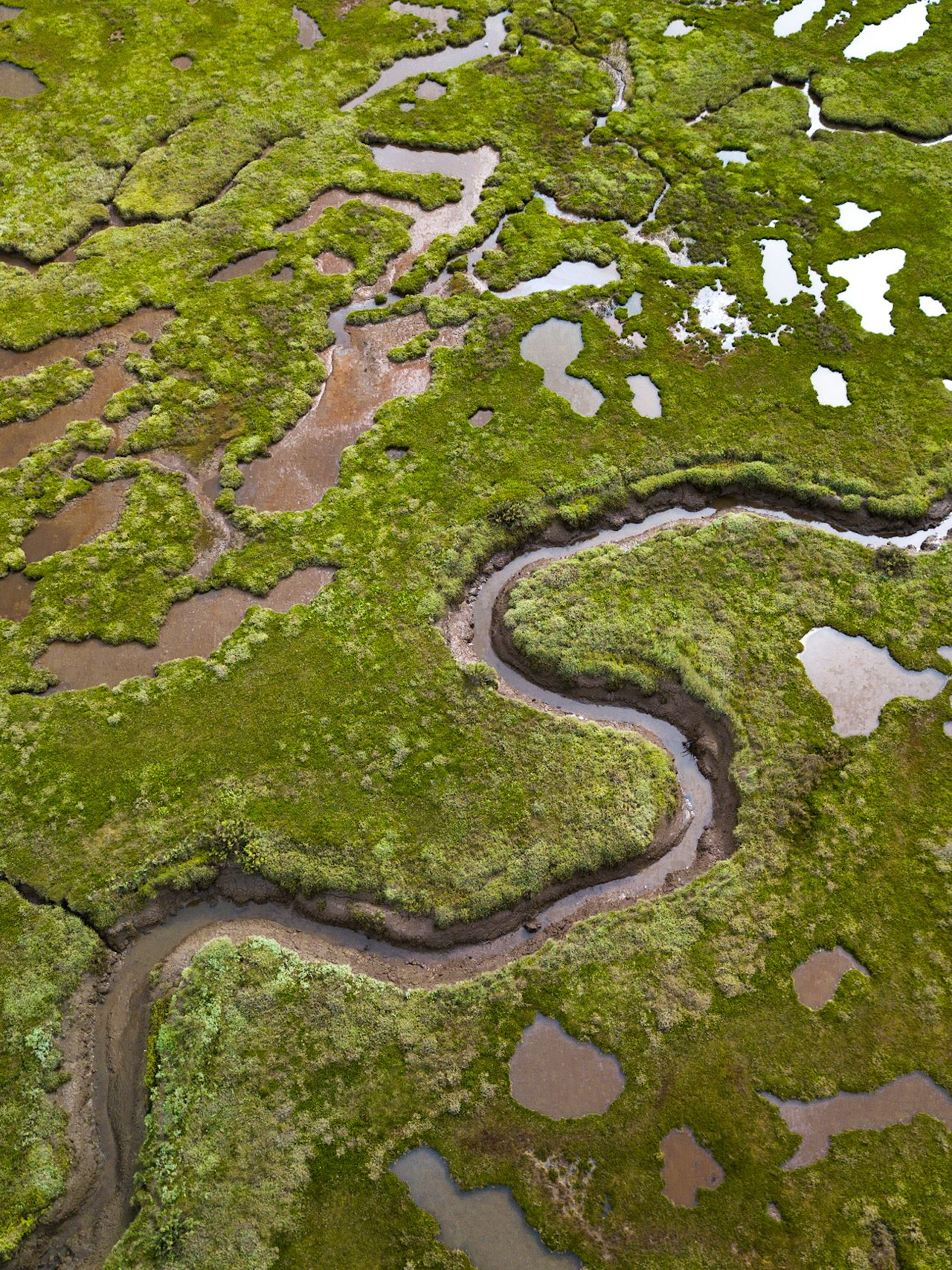 Stiffkey Salt Marshes, Norfolk