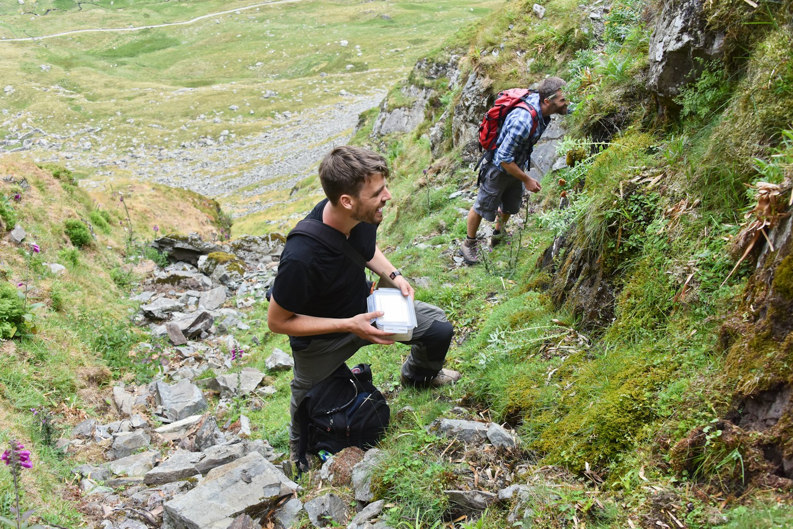 Seed collecting Harter Fell