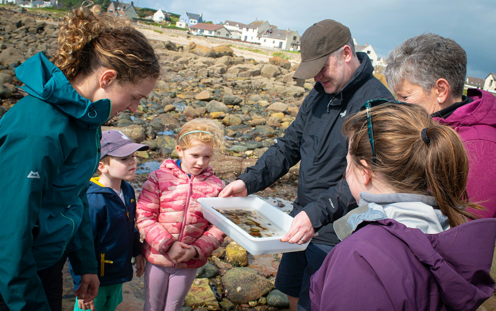Adults and children on a beach comb.