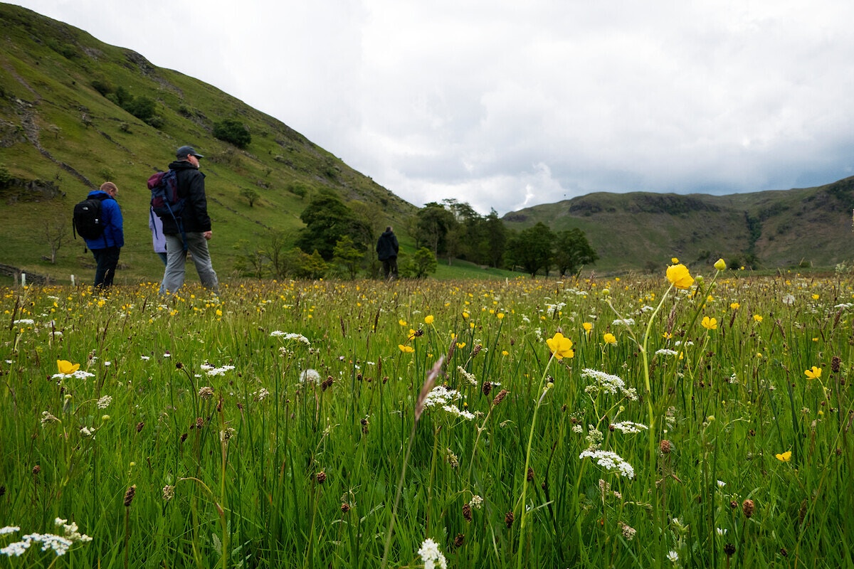 Swindale RSPB Haweswater