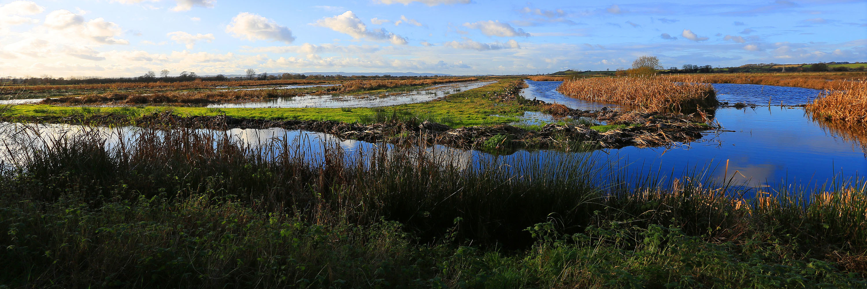 Local Rewilding Networks | Rewilding Britain