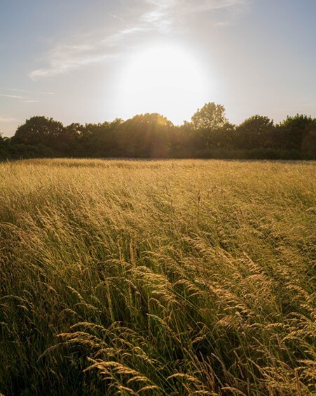 Tolworth citizen zoo
