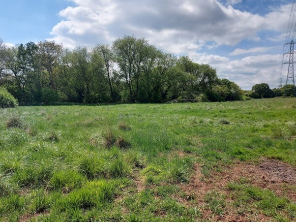 Tolworth citizen zoo