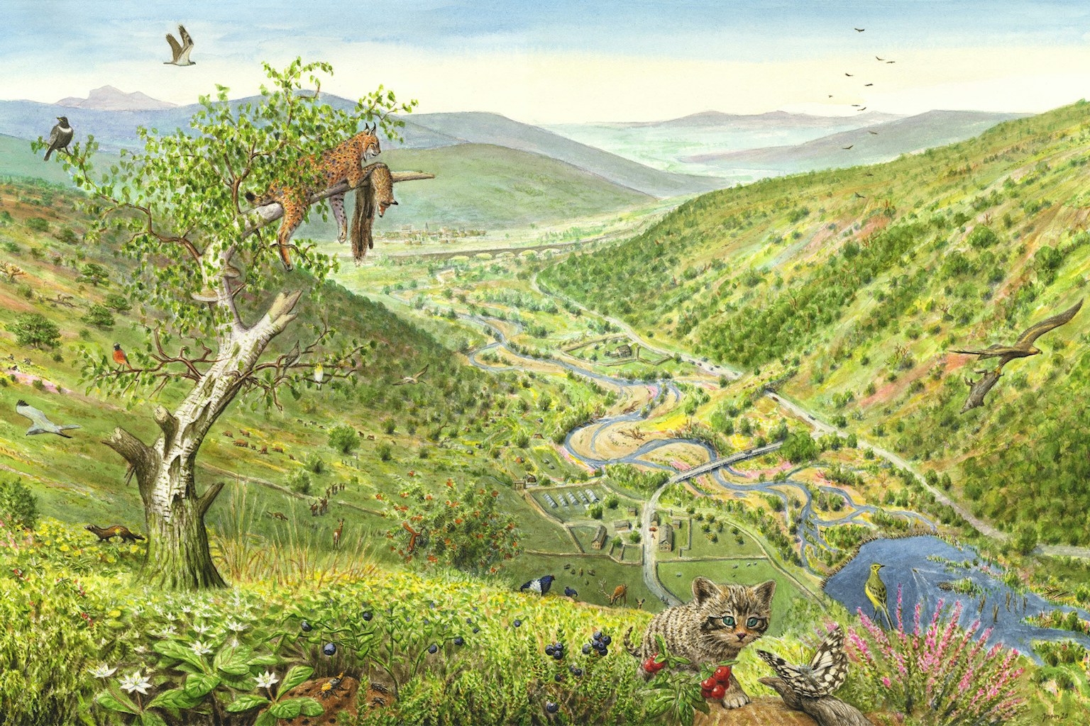 Uplands future