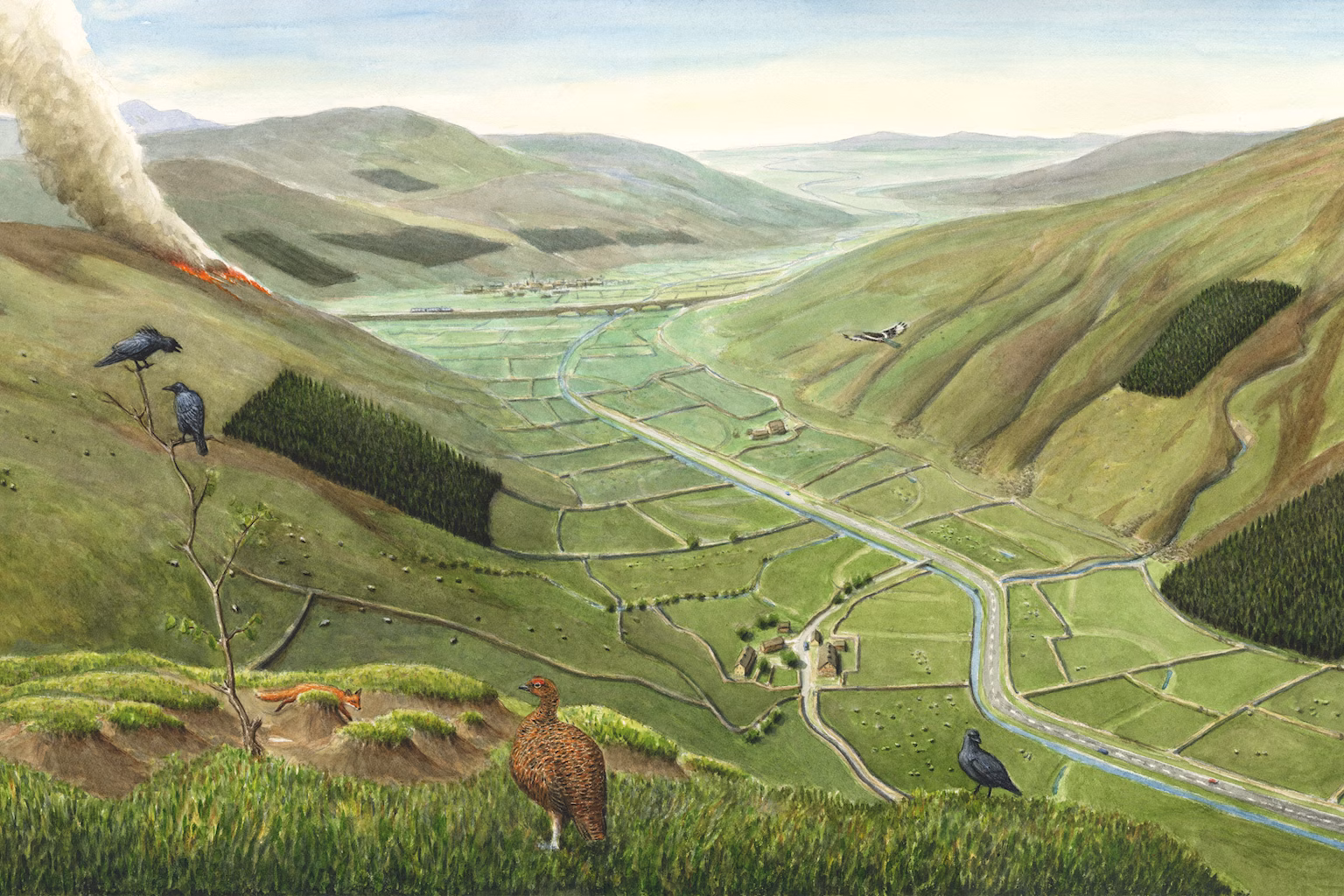 Uplands present day