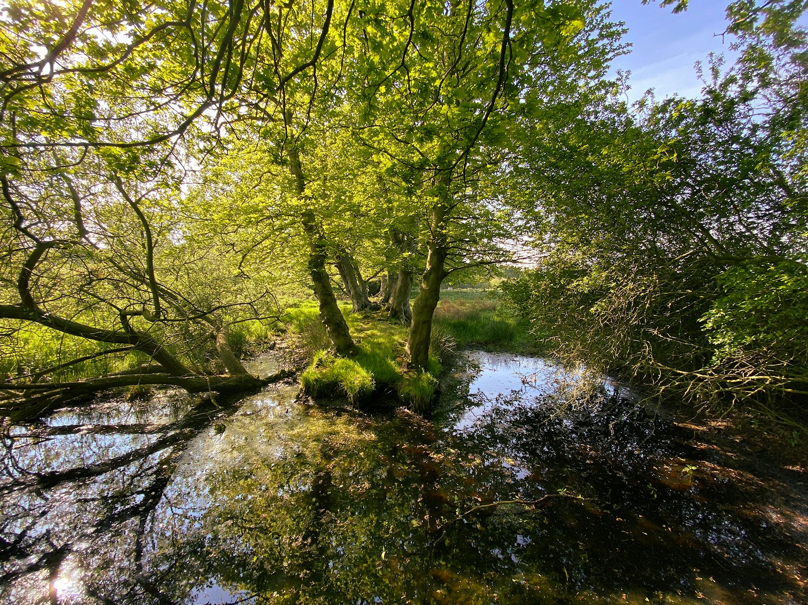 Westacre estate